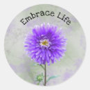 Recherche de fleurs dahlia autocollants Violet
