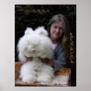 Recherche de rabbits posters Bunny