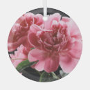 Recherche de texture rose ornements Fleur