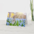 Zoek naar chipmunks kaarten Bloemen