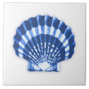 Recherche de shell carreaux Plage