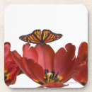 Recherche de papillon monarque dessous de verres Nature