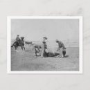Recherche de veaux cartes postales Marque