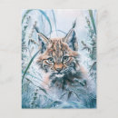 Recherche de lynx Forêt