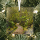 Recherche de forêt tropicale ornements Bois