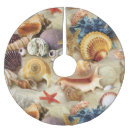 Recherche de plage jupon de sapin Coquillages