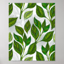 Zoek naar thee plant posters Bladeren