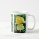 Recherche de iris jaunes tasses Floral