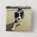 Recherche de border badges Nautique