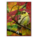 Recherche de chardonneret cartes postales Nature