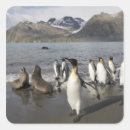 Recherche de faune antarctique autocollants Iceberg
