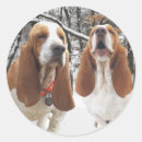 Recherche de basset autocollants Chien de basset