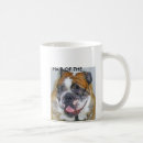 Recherche de bouledogue tasses Animaux