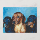 Recherche de portrait de chien cartes postales Pour animaux
