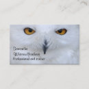 Recherche de hibou blanc cartes visite Hiboux