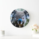 Recherche de koalas horloges Australien