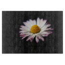 Recherche de bellis dessous de verres Jaune