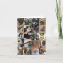 Recherche de tzu vœux cartes Chien