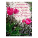 Recherche de copie de tulipe Fleurs