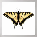 Recherche de papillon machaon art Papilio