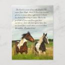 Recherche de beaux chevaux cartes postales Bleu