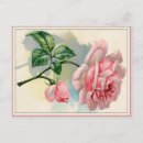 Recherche de gris rose cartes postales Victorien