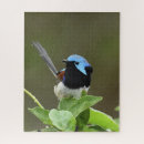 Zoek naar bont puzzels Natuur fotografie