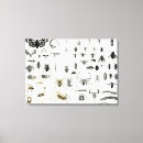 Zoek naar spinnen kunst Arachniden