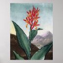 Zoek naar indische kunst Botanisch
