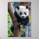 Recherche de chengdu posters Chine