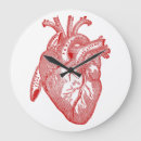 Recherche de anatomique horloges Coeur