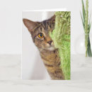Recherche de pochette vœux cartes Chat