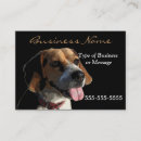 Recherche de chien beagle cartes visite Animaux domestiques