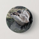 Recherche de otter badges Animaux