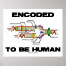 Recherche de biologie humaine posters Anthropologie