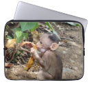 Recherche de petits animaux coques Animal sauvage