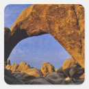 Recherche de joshua tree autocollants Nature