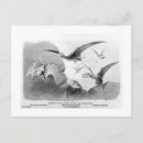 Recherche de ptérodactyle cartes postales Jurassique