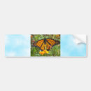 Recherche de papillon monarque voiture autocollants Ailes