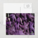 Recherche de étoile du nord cartes postales Violet