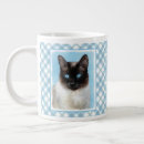 Recherche de chat siamois tasses Chaton