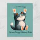 Recherche de chat zen cartes postales Animal