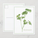 Recherche de persil cartes postales Cuisine