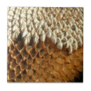 Recherche de tournesol carreaux Géométrique