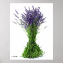 Recherche de aromathérapie posters Fleurs