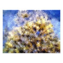 Recherche de algues bleues posters Mer