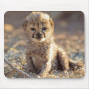 Recherche de guépard tapis souris Bébé