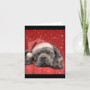 Recherche de cane corso vœux cartes Amour