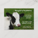 Recherche de vache lait cartes visite Le holstein