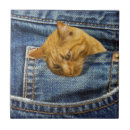 Recherche de humour de chat carreaux Amoureux de les chats